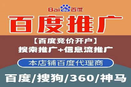 案例分析：百度推广成功案例解析